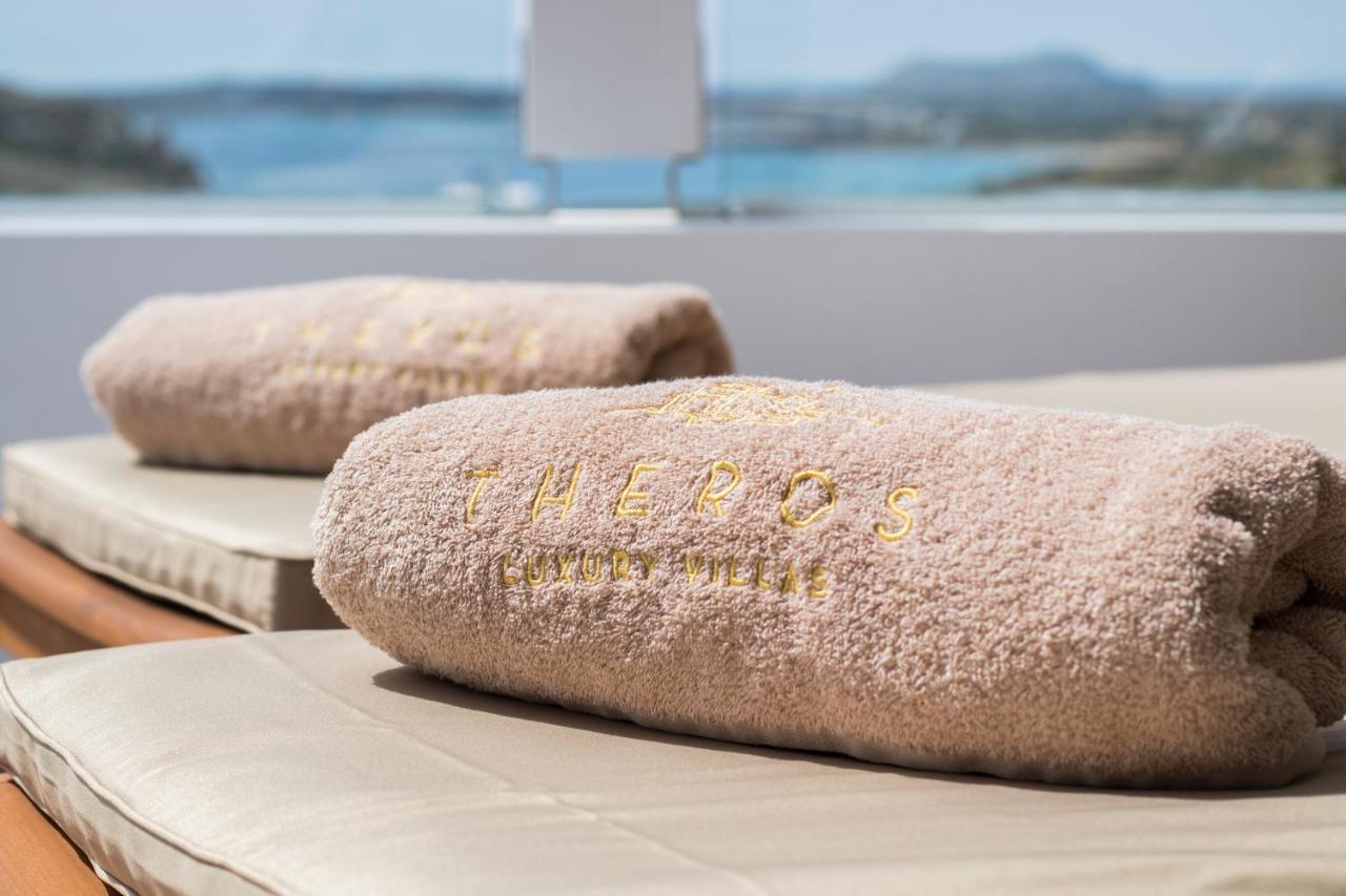 Theros Luxury Villas Damatria エクステリア 写真